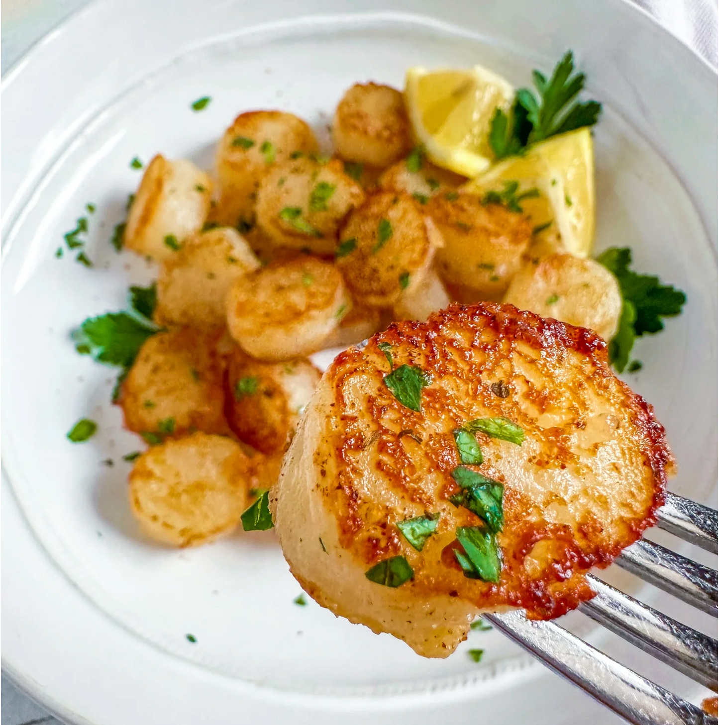 NEW! Shelf Stable Plant Based Seafood Scallops