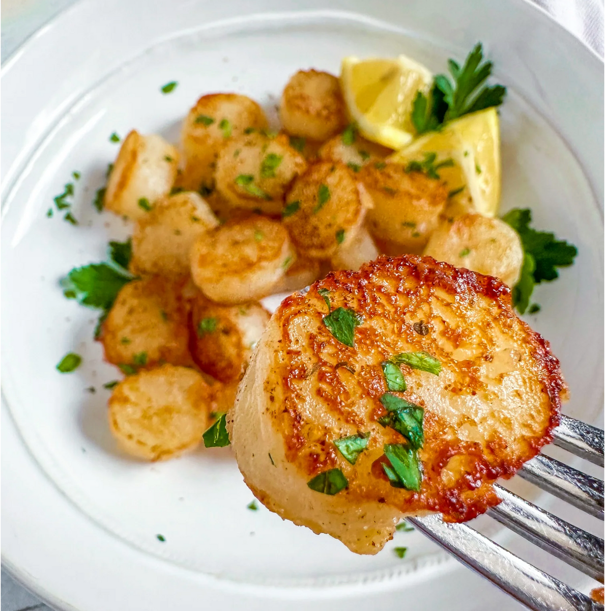 NEW! Shelf Stable Plant Based Seafood Scallops – The Plant Based ...